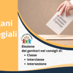Proclamazione e nomina degli eletti